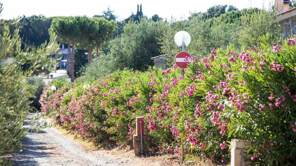 Il Borgo Centro Vacanze กวาร์ดิสตัลโล ภายนอก รูปภาพ